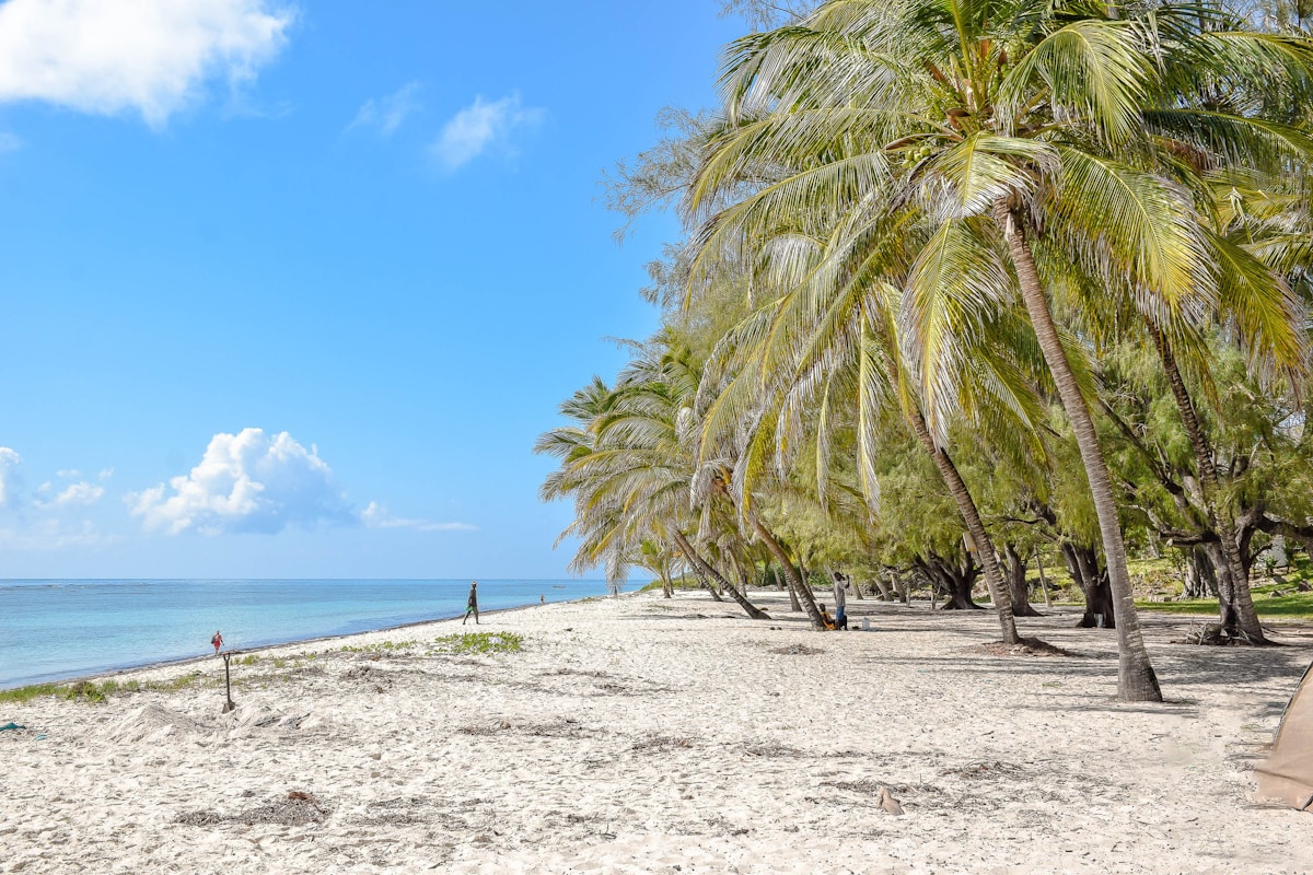 White sand beach lined with palm trees under a blue sky at Diani Beach, Kenya coast