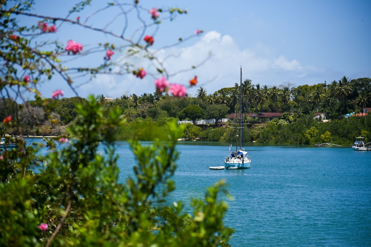 Sailboat moored in Mombasa's calm blue bay, framed by tropical trees and pink bougainvillea, Kenya