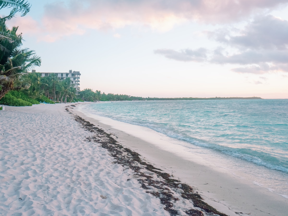 White sand beach with palm trees and turquoise water at Diani Beach
