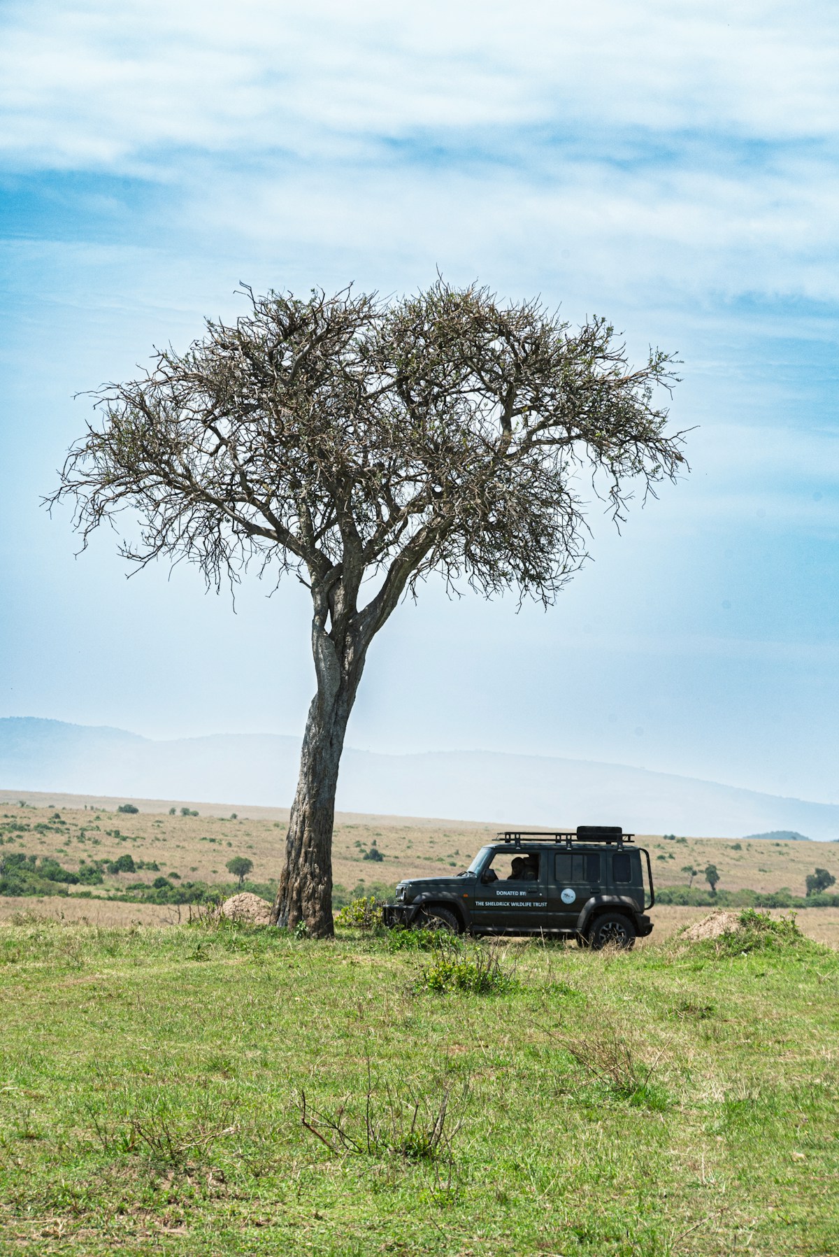 Luxury tented camp on the Ewaso Nyiro riverbank in Samburu National Reserve, Kenya