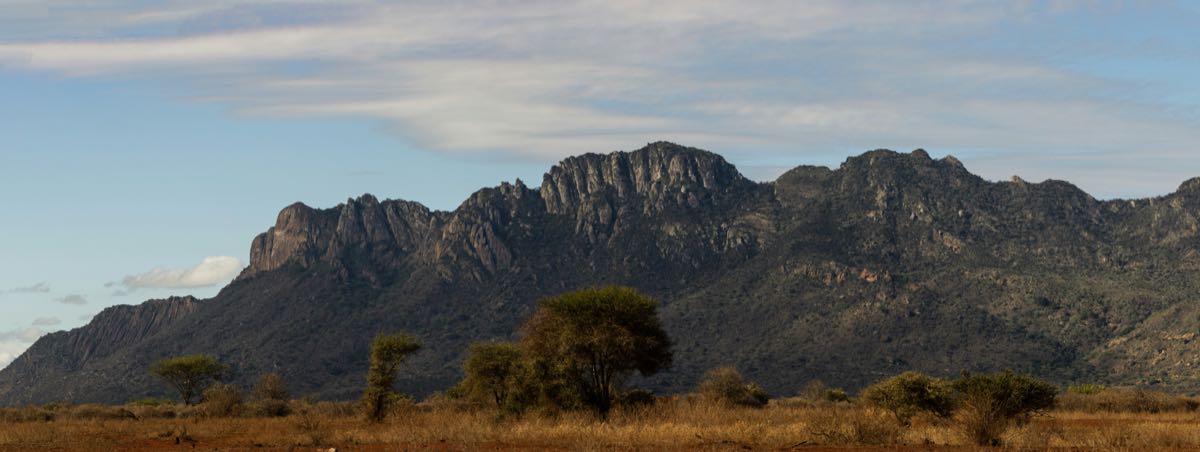 Nyeri