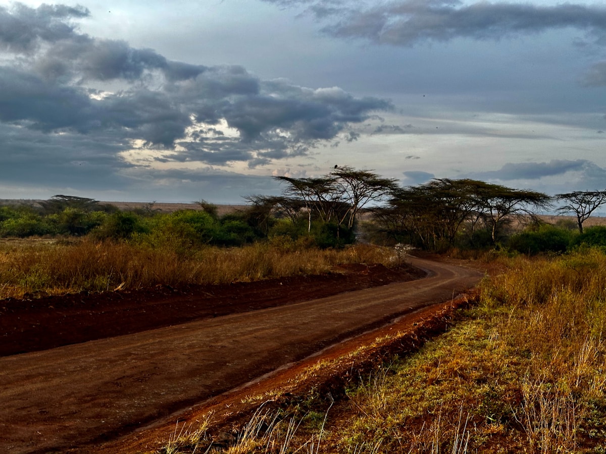 Red dirt road through savanna landscape with acacia trees at sunset, Kenya