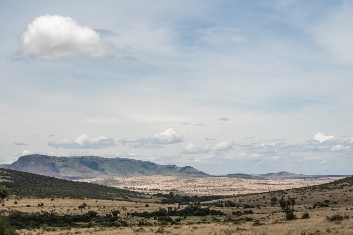 Maasai Mara hillside landscape with scattered vegetation and open sky, Kenya