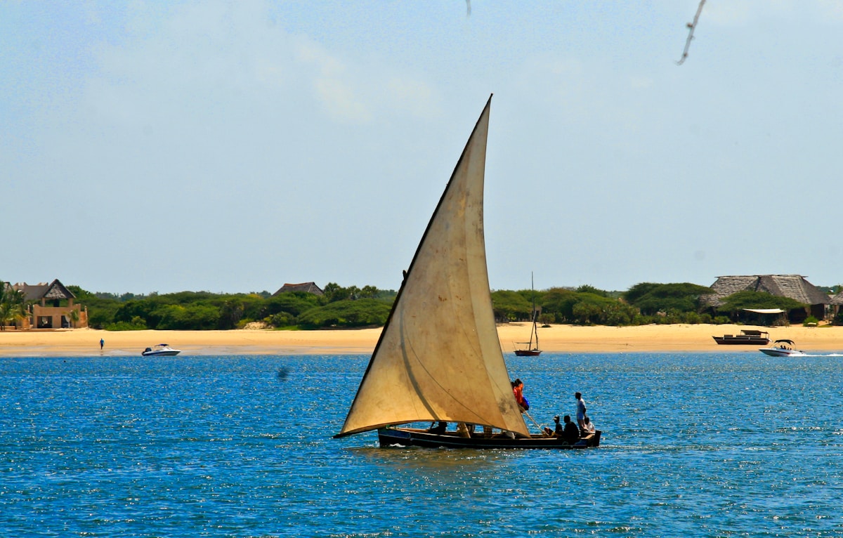 Traditional dhow sailing on the water with Lamu coast in the background, Kenya