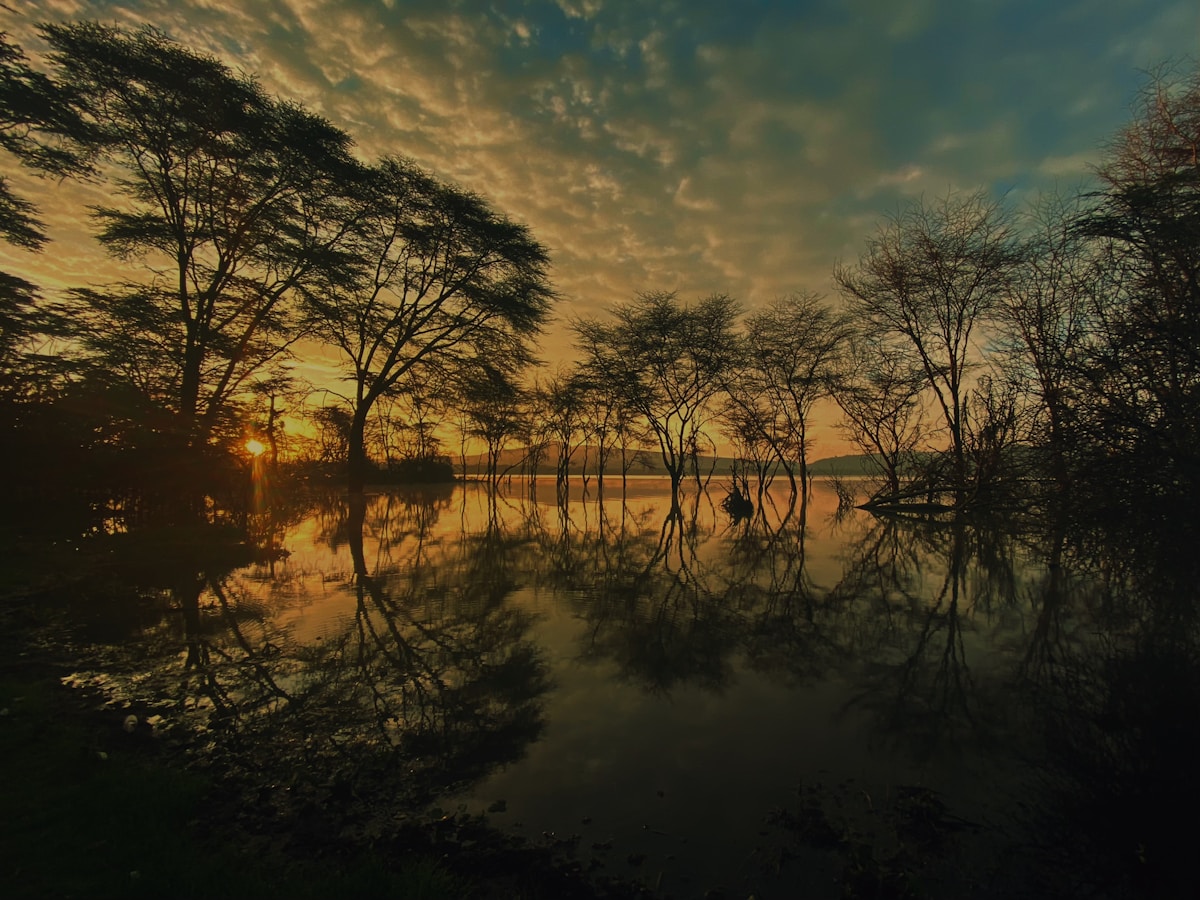 Lake Naivasha with papyrus reeds and flamingos visible from the lakeside