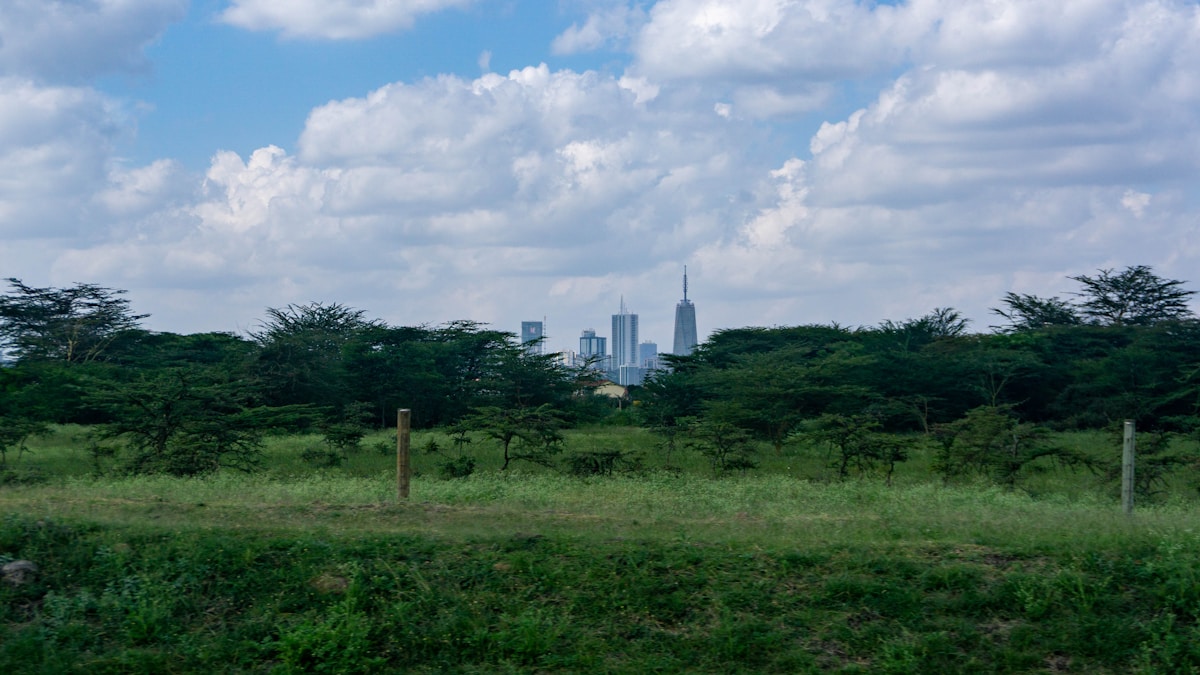 Nairobi city skyline viewed across acacia trees and green parkland, Kenya