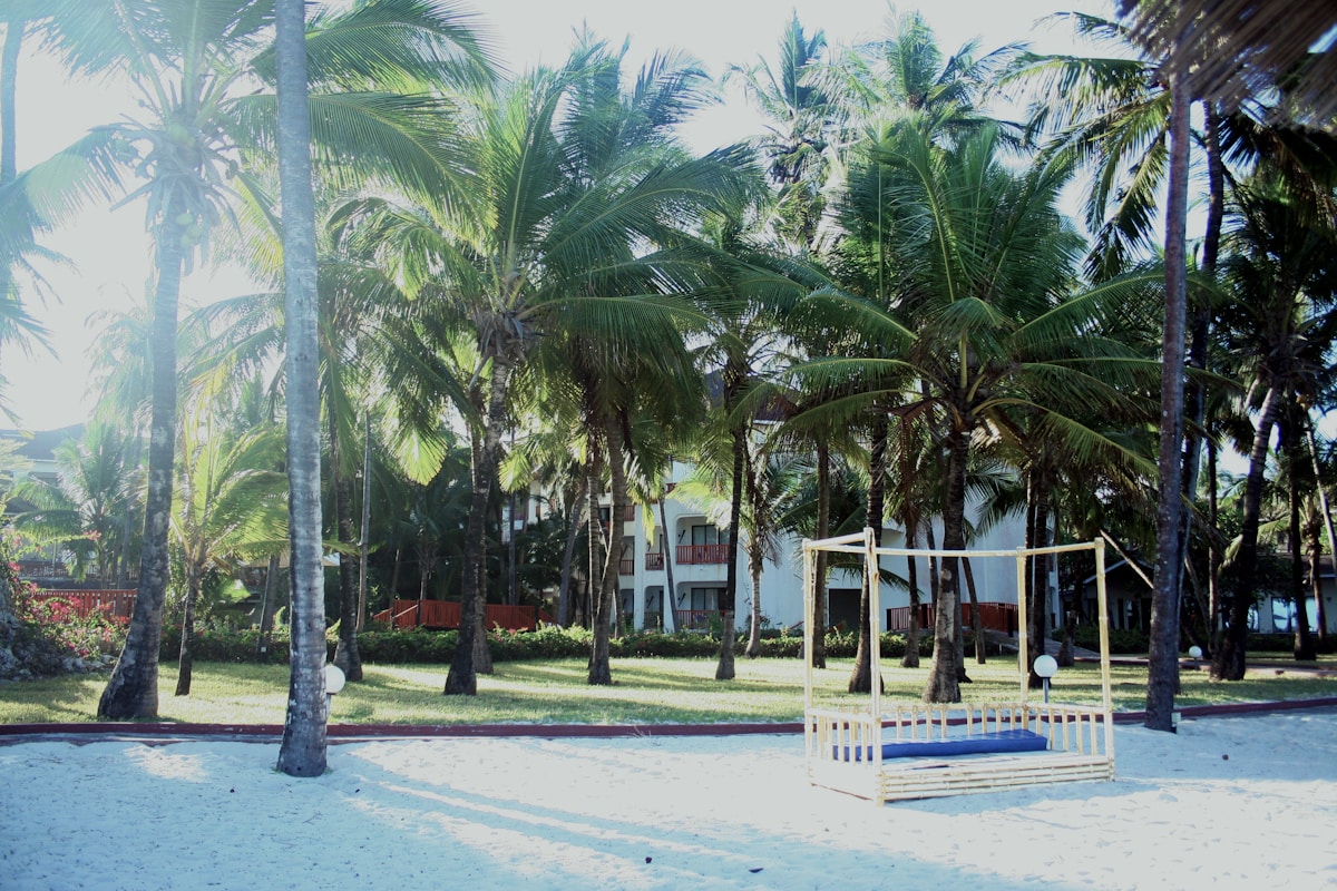 White sand beach with palm trees and beach resort, Diani Beach Kenya