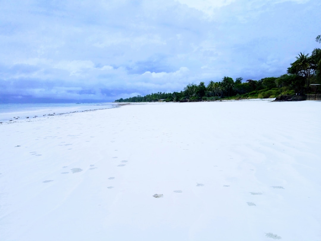 Wide white sand beach at Diani with calm Indian Ocean water and palm trees
