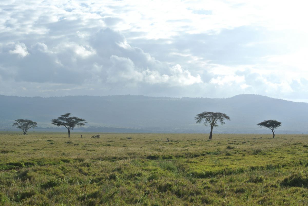 Wide open savanna plain with scattered acacia trees and mountains in the distance, Kenya