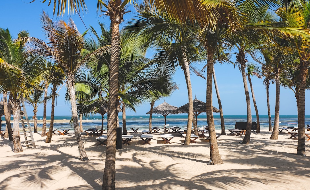 Malindi beach resort with palm trees, sun loungers, and Indian Ocean in the background