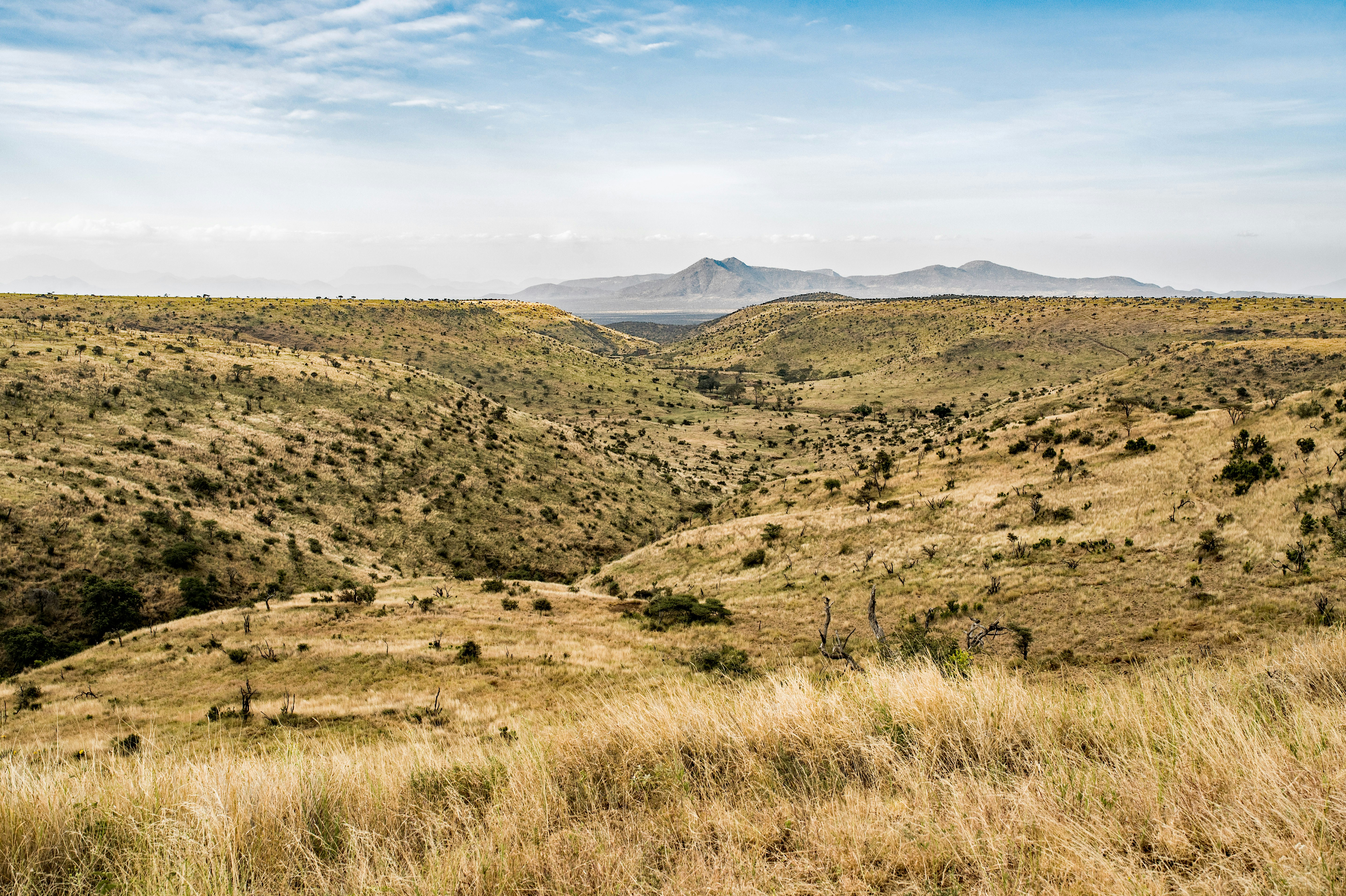 Dry savanna grasslands and rolling hills in Kenya's highlands with mountains in the background