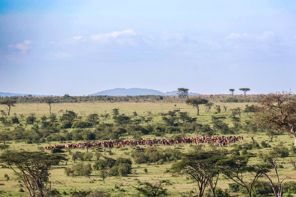 Machakos