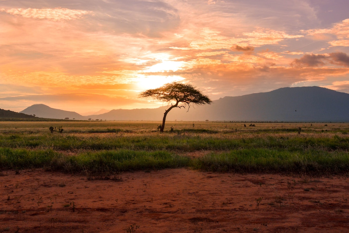 Stone-and-timber safari lodge overlooking a waterhole at dusk in Tsavo West National Park, Kenya