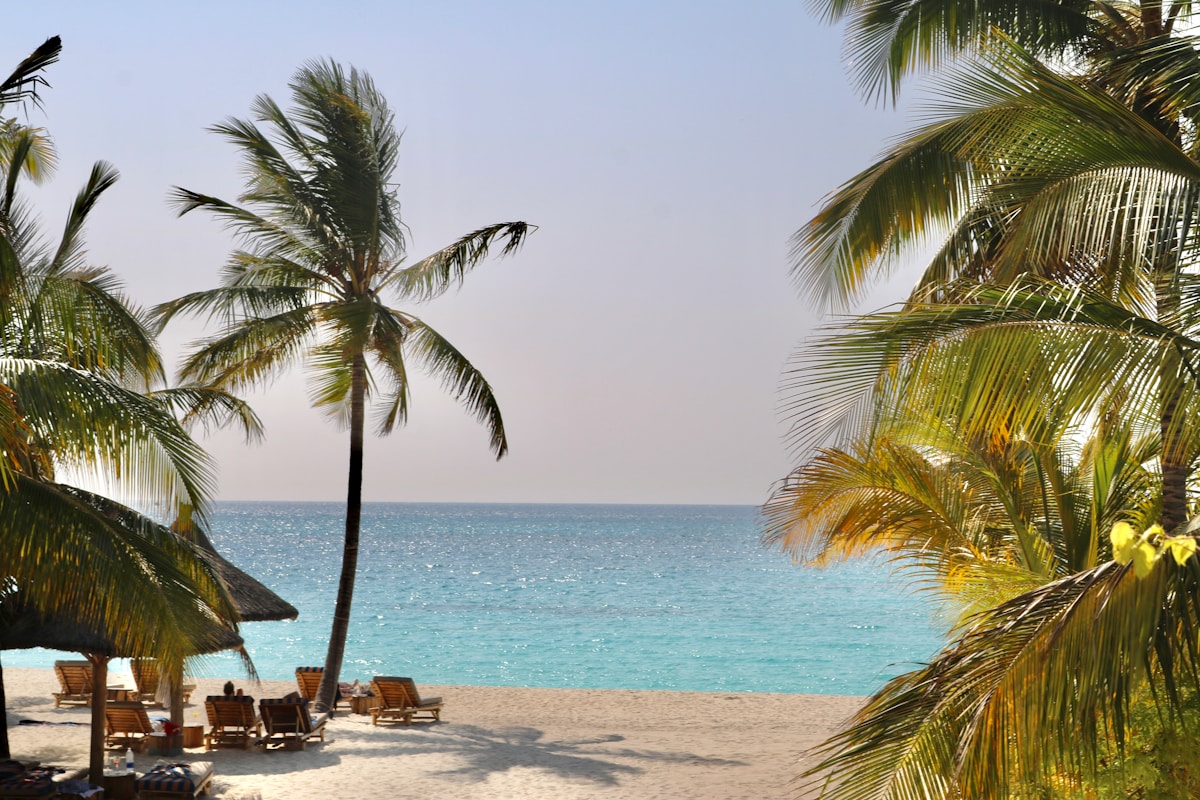 Tropical beach with palm trees and turquoise water, Zanzibar Tanzania
