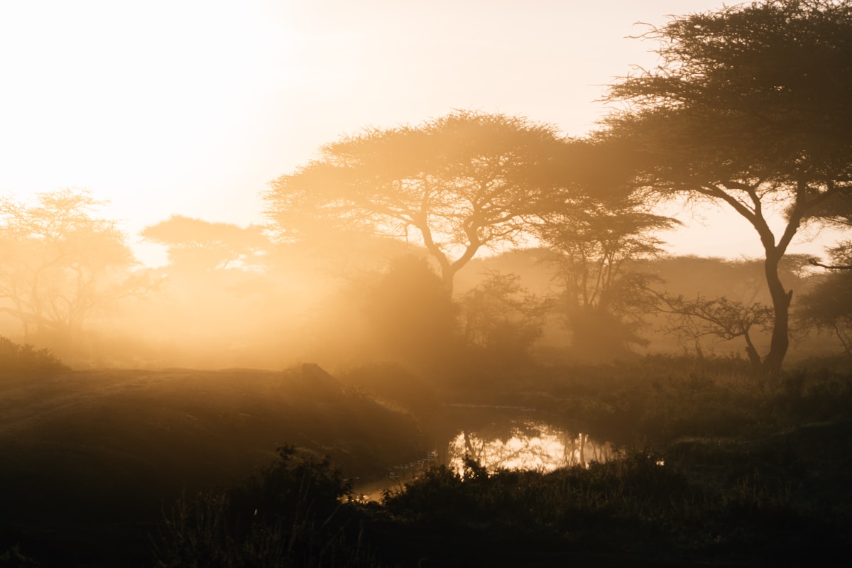 Mount Longonot volcanic crater seen from the rim trail with the Rift Valley below