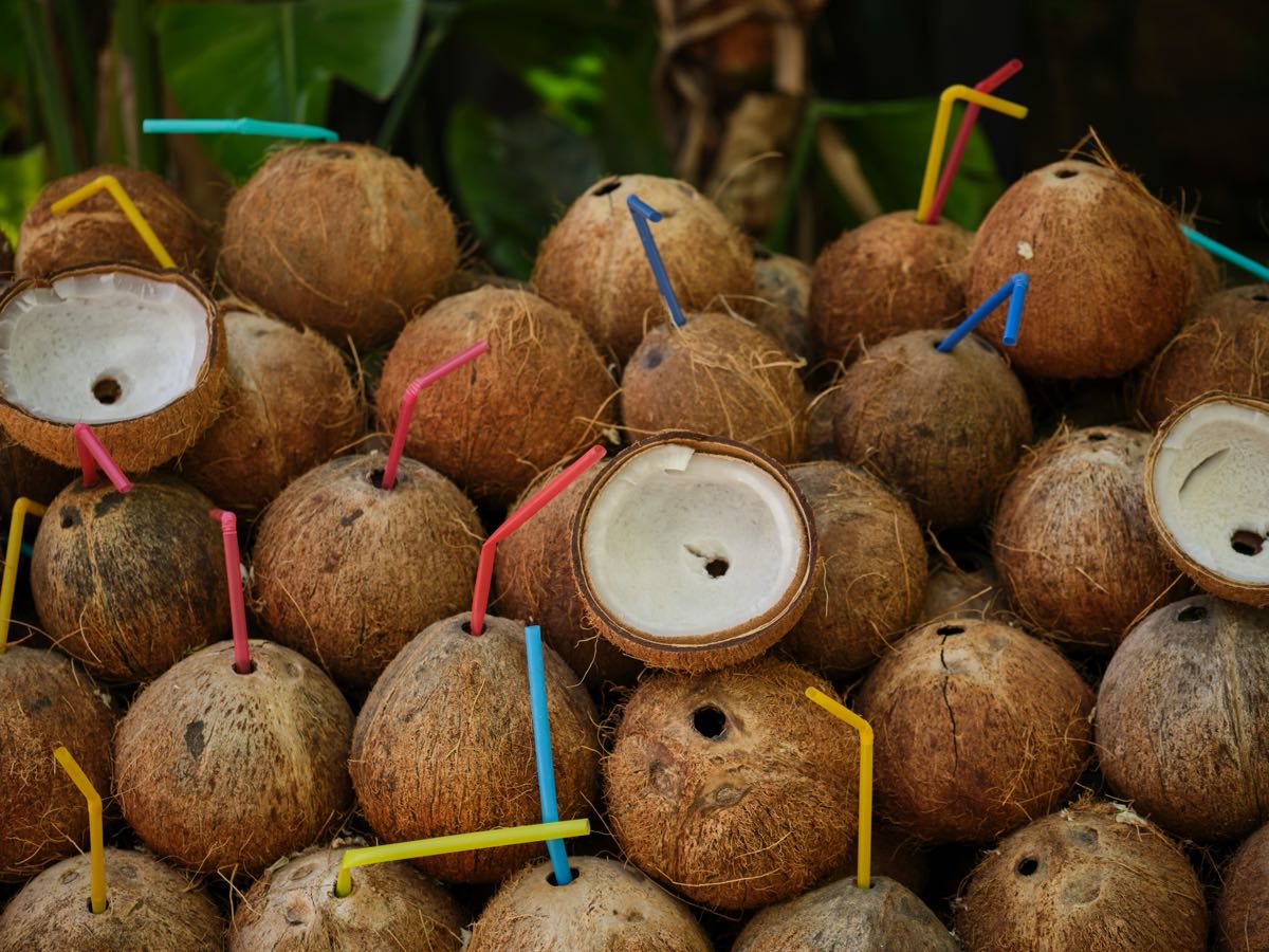 Pile of fresh coconuts with colourful drinking straws, a common tropical refreshment on the Kenyan coast
