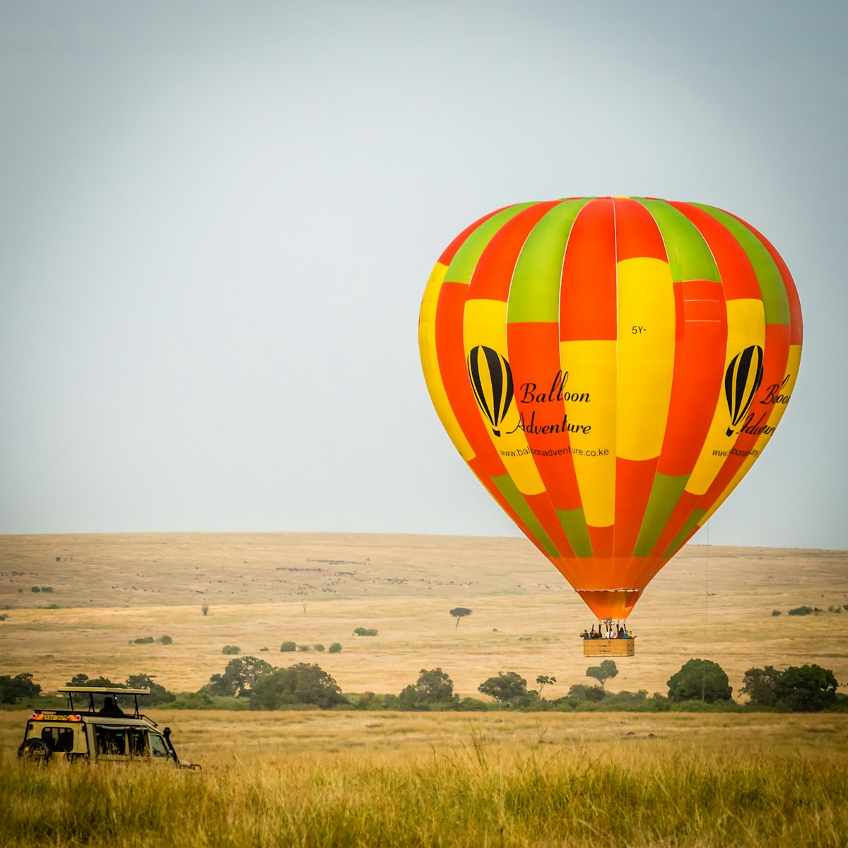Hot air balloon safari over the golden grasslands of the Maasai Mara, Kenya