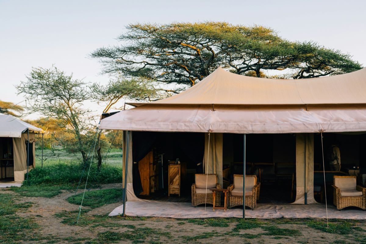 Luxury safari tents open to the African bush under acacia trees at a Kenya camp