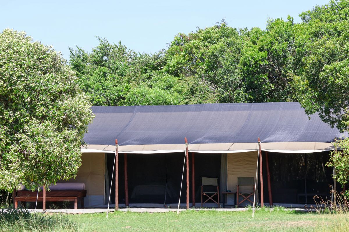 Canvas safari tent with open veranda and director's chair set among trees in a Kenya game reserve